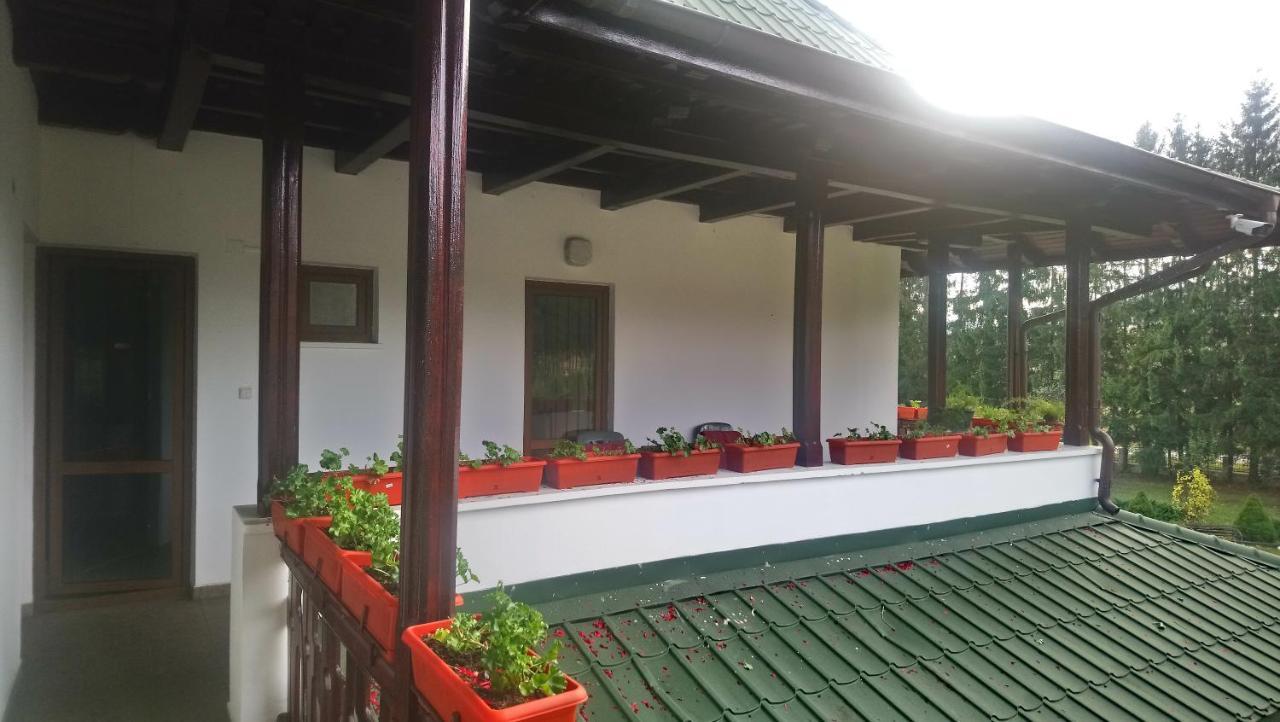 Maison d'hôtes Casa "Ierusalim-Hozeva-Hozeva" à Minastirea Neamt Extérieur photo